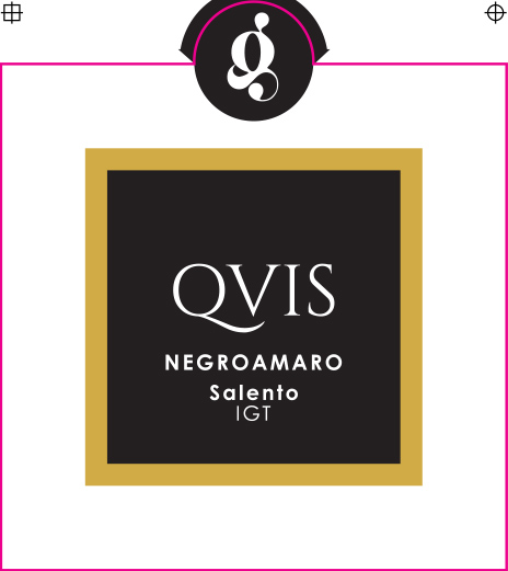 Qvis