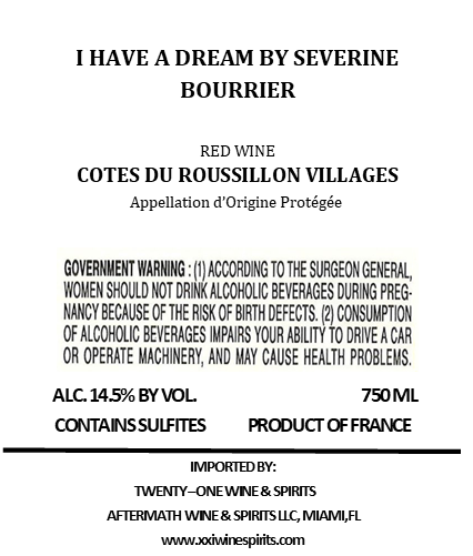 I Have a Dream by Severine Bourrier