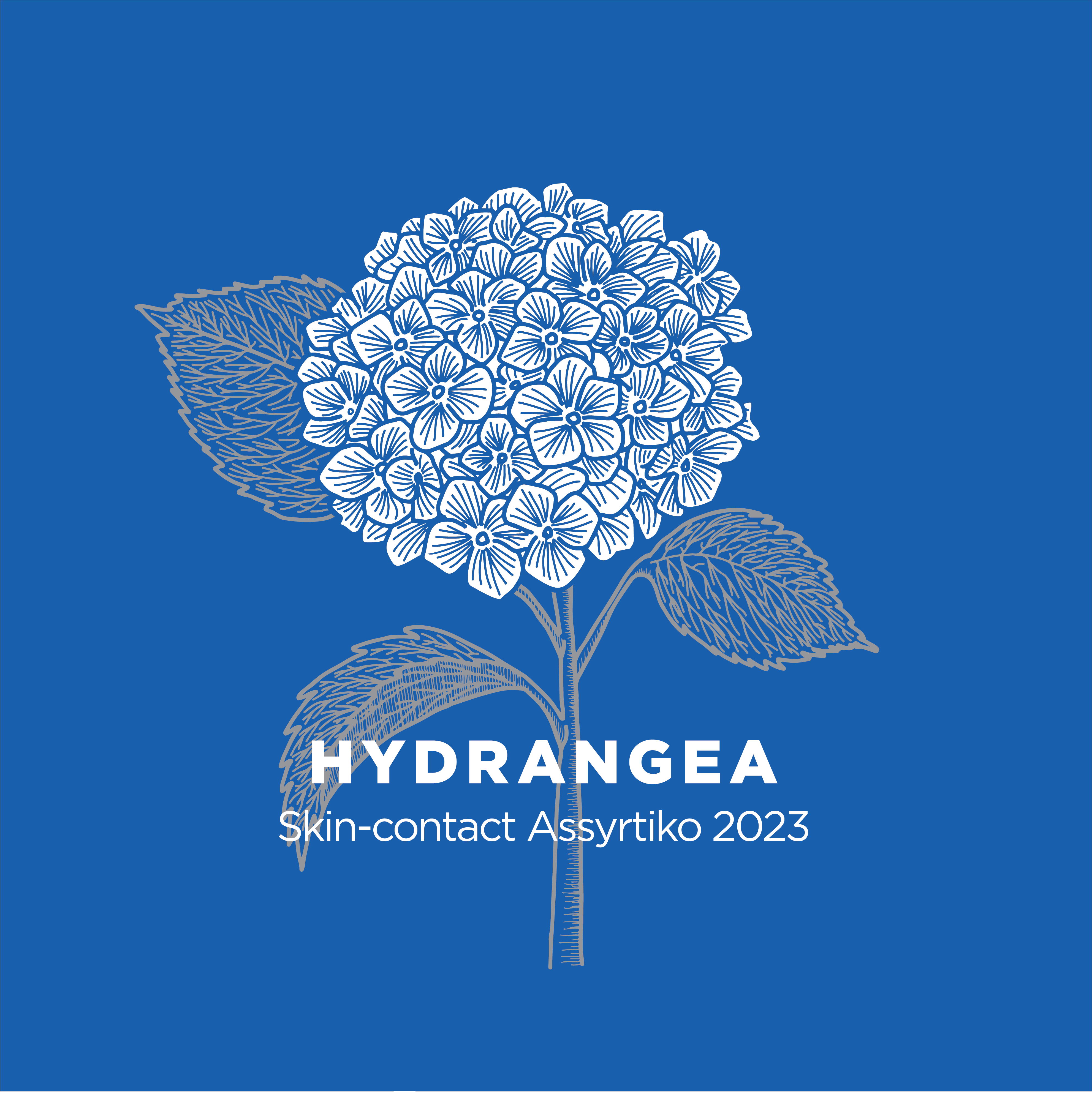 Hydrangea Skin - Contact Assyrtiko