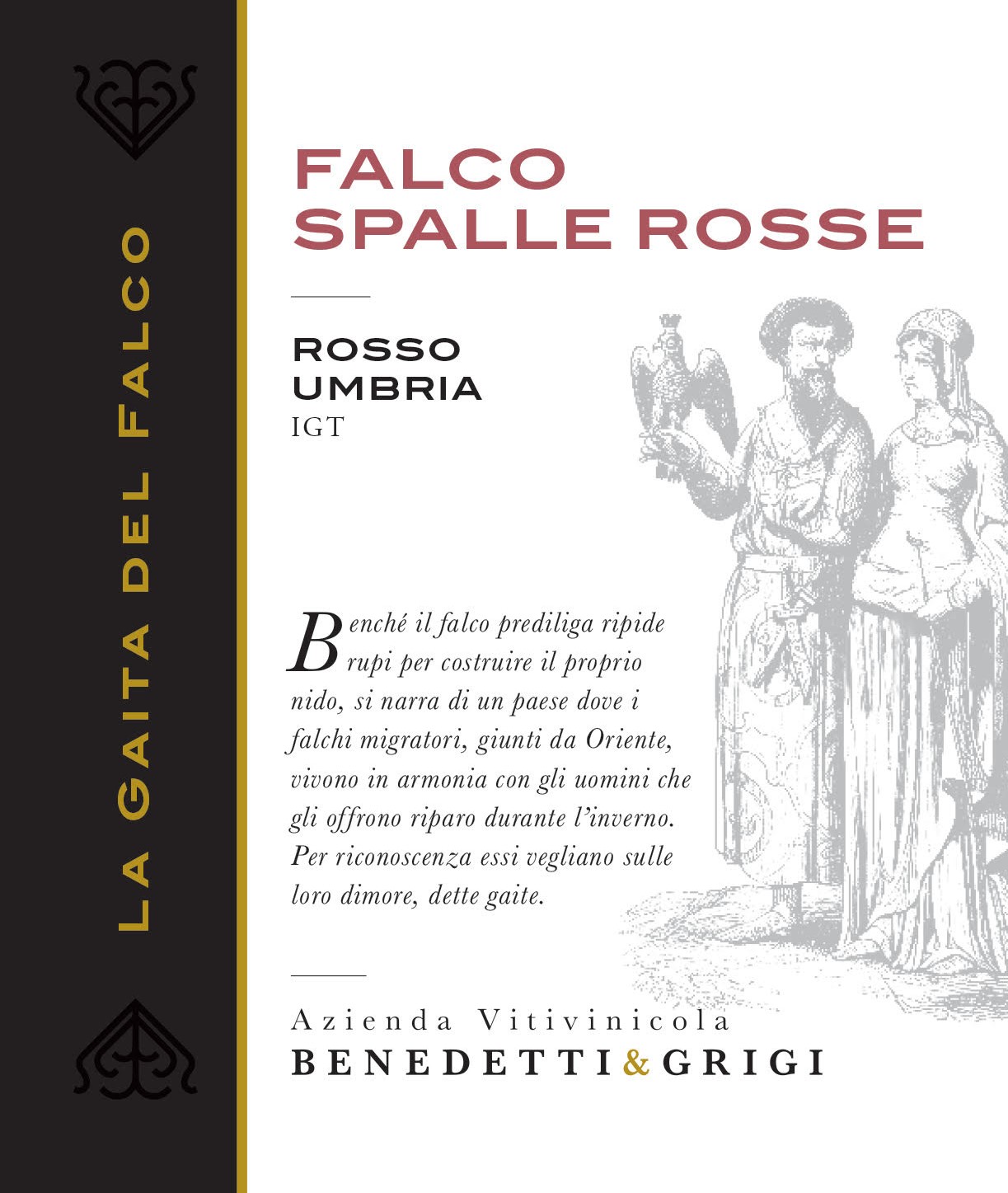 Falco Spalle Rosse