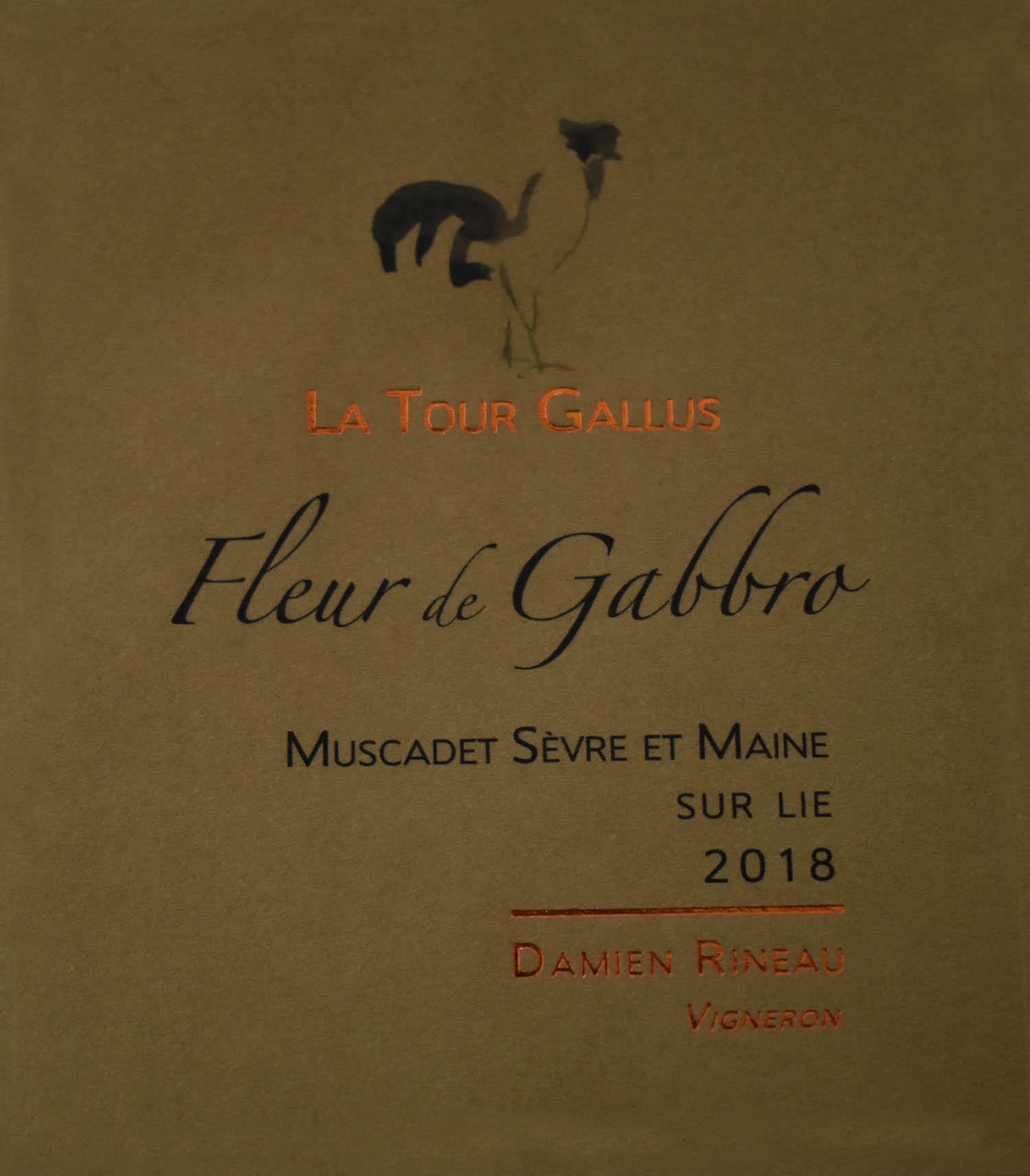 Fleur De Gabbro