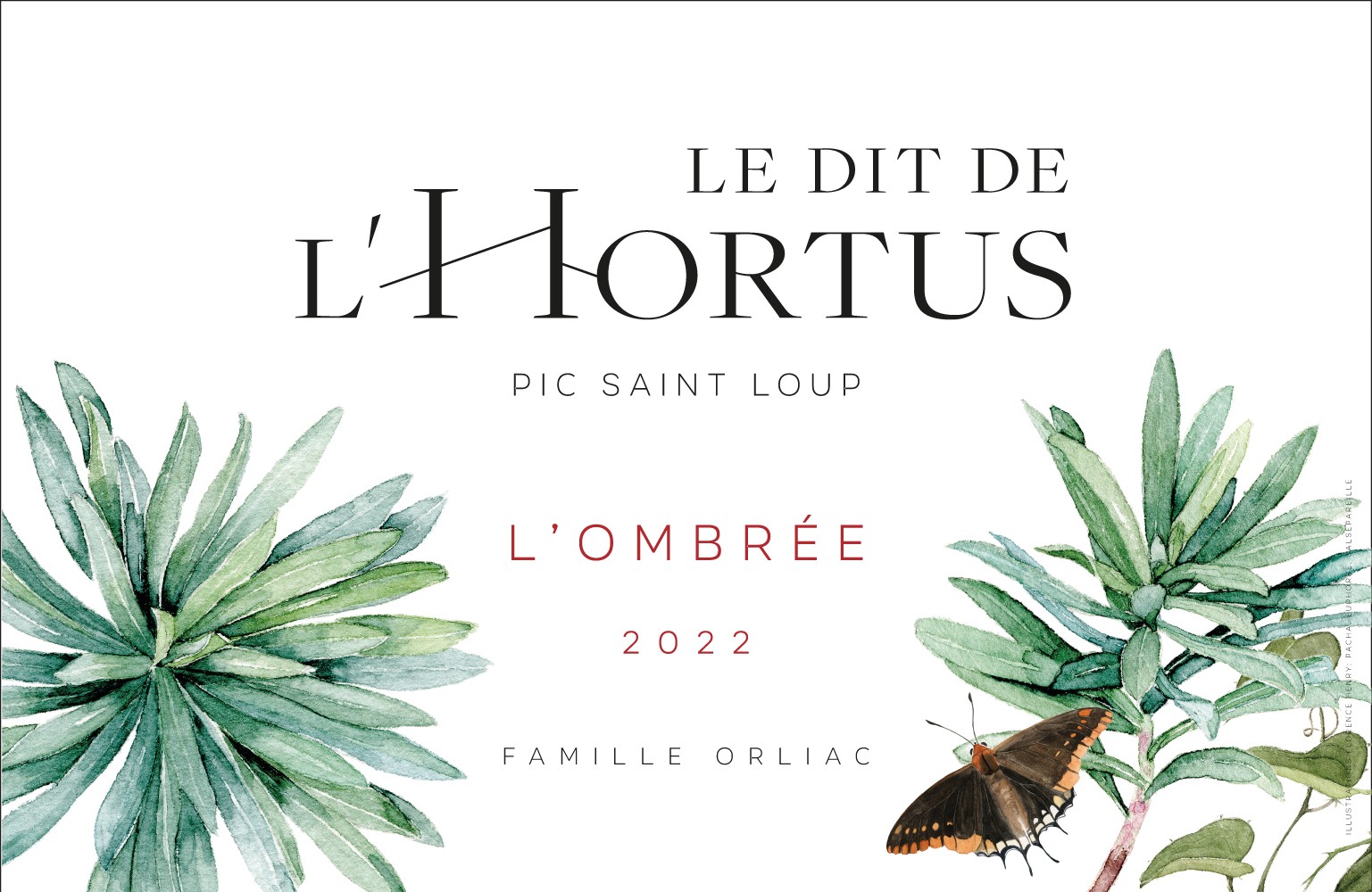Le Dit De L'hortus Pic Saint Loup