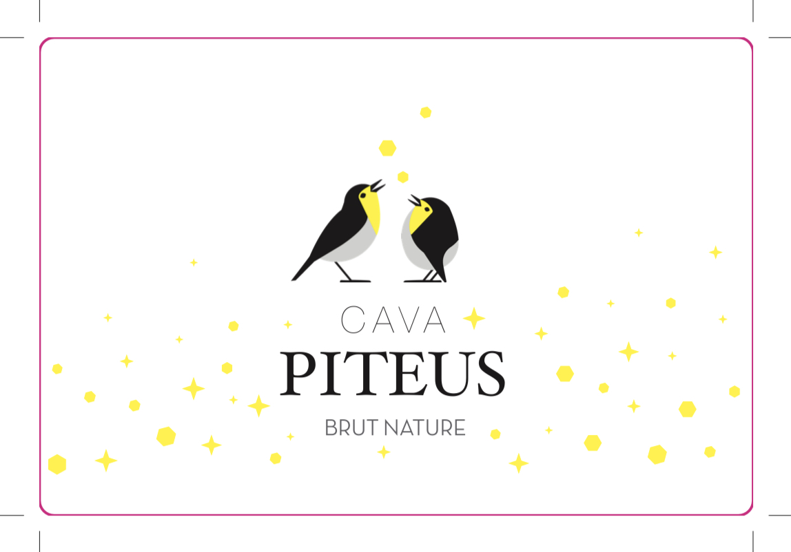 Salud Y Larga Piteus Vida Cava Brut Nature