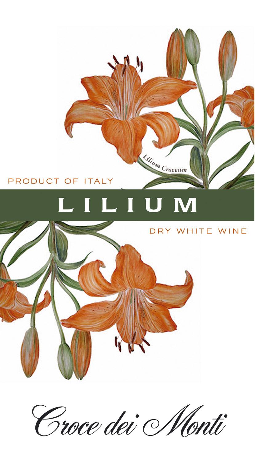 Lilium