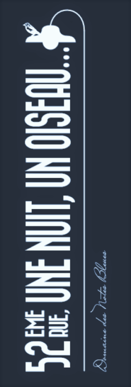 52eme Rue, Une Nuit, Un Oiseau...