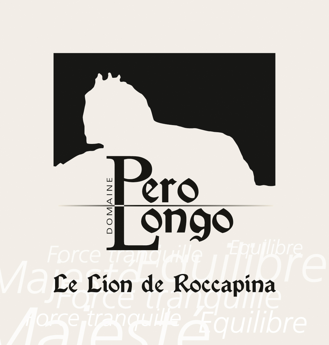 Le Lion De Roccapina