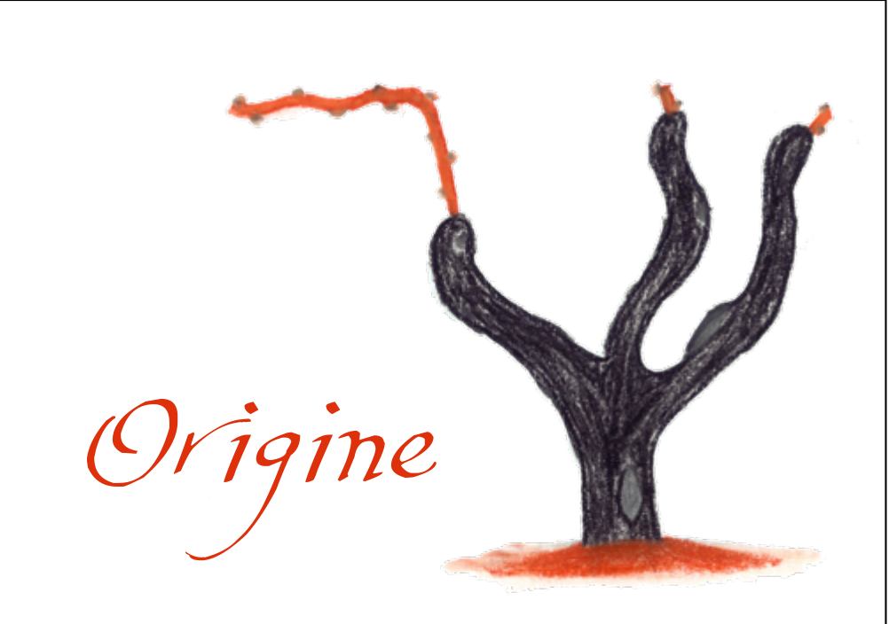 Origine