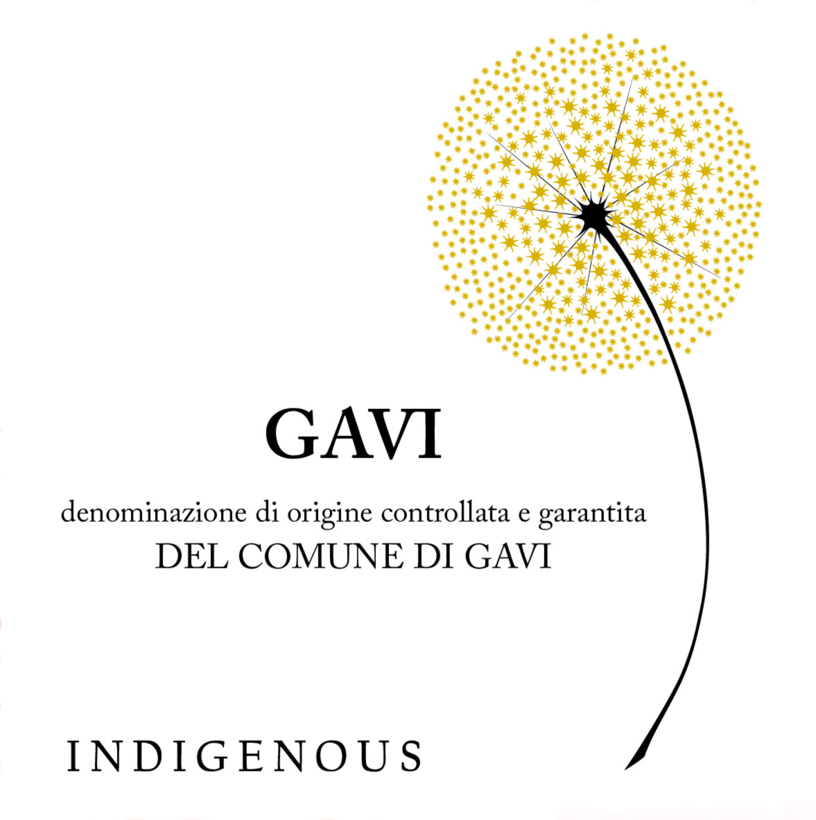 Del Comune Di Gavi