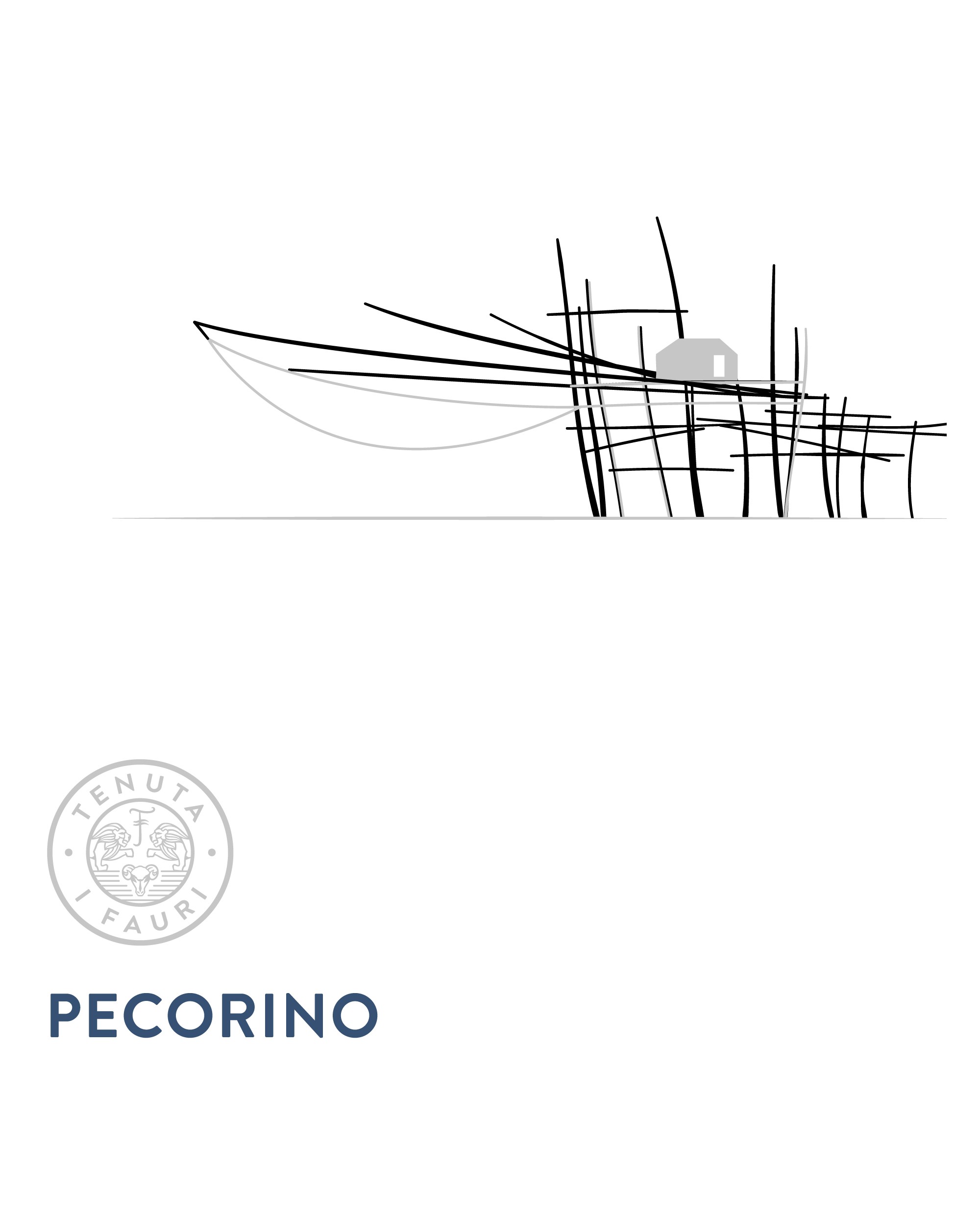 Pecorino