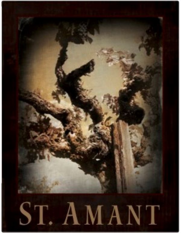 Mohr-Fry Ranch Old Vine