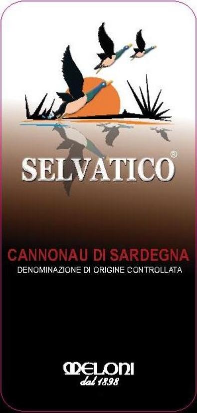 Selvatico