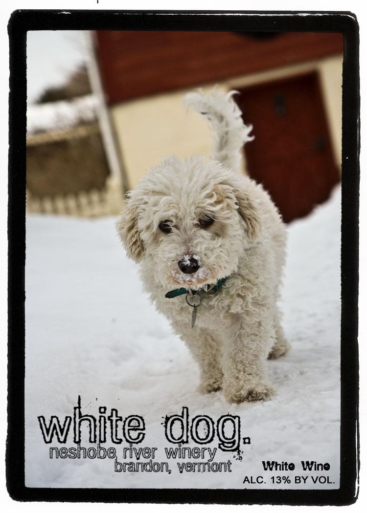 White Dog