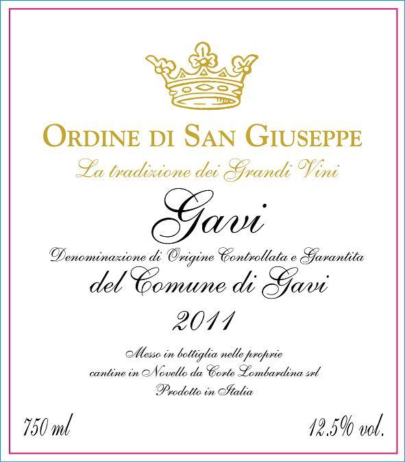 Gavi Turs