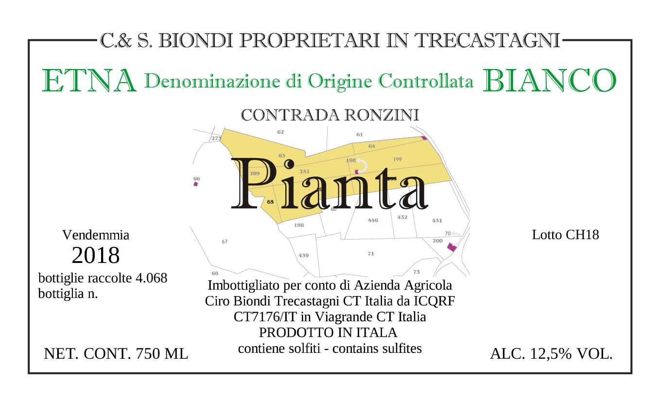 Pianta Etna Bianco