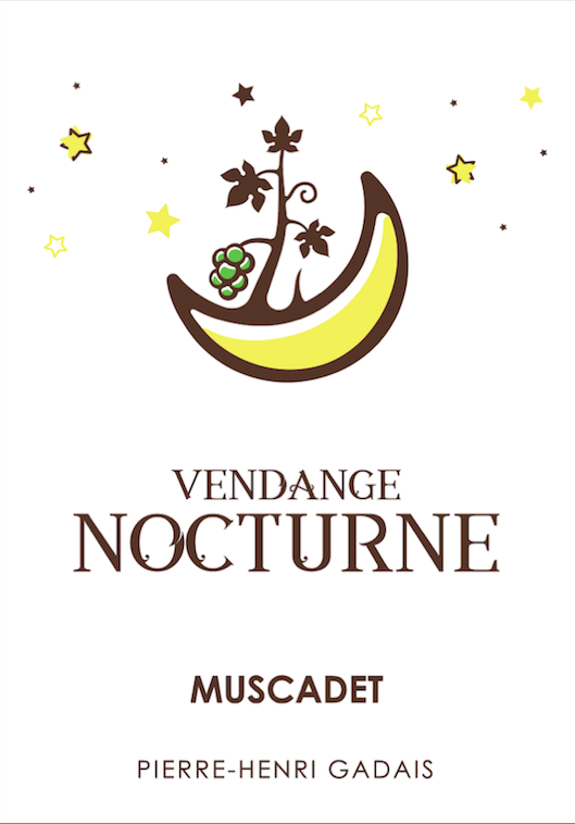 Vendange Nocturne