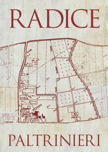 Radice
