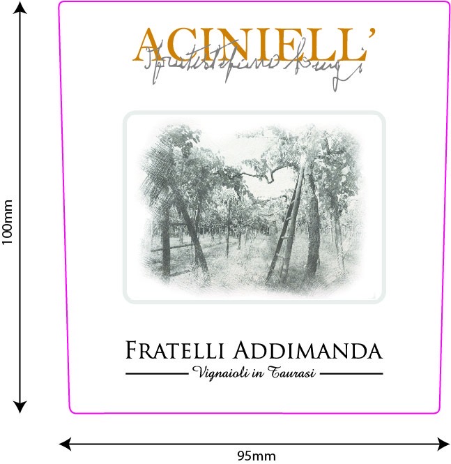 Aciniell