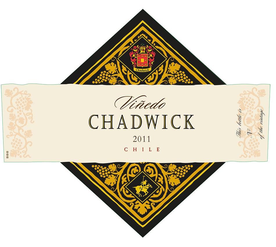 Vinedo Chadwick