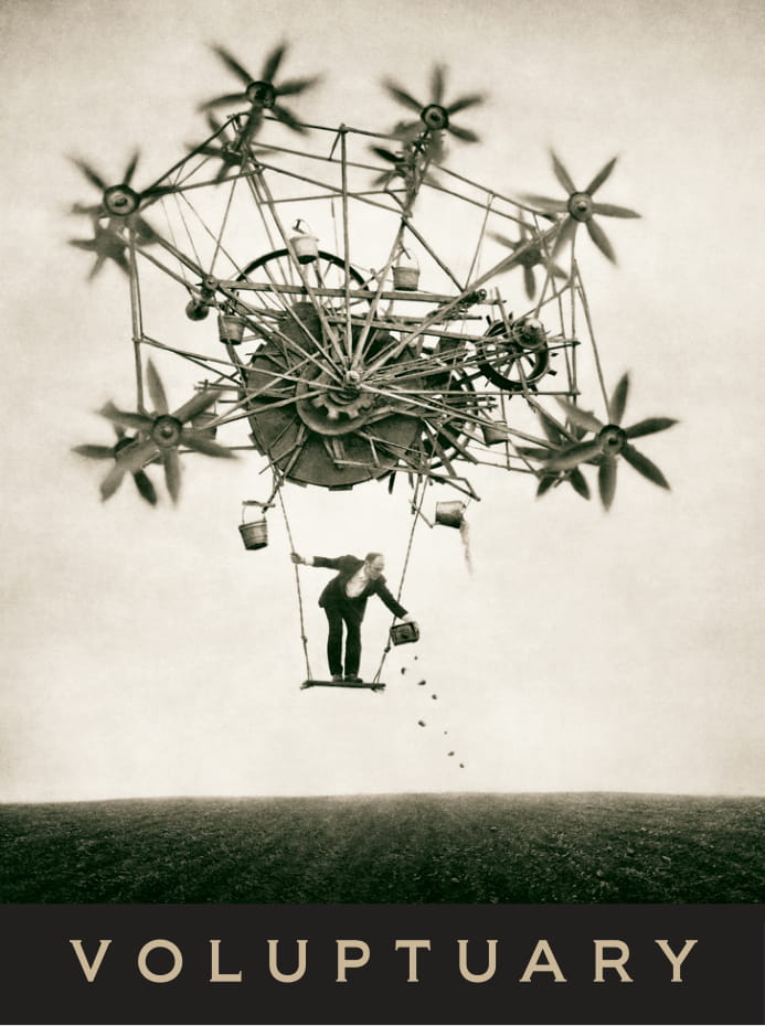 V.08 "The Sower"