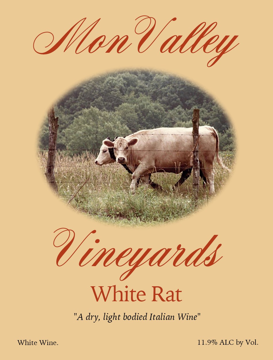 White Rat