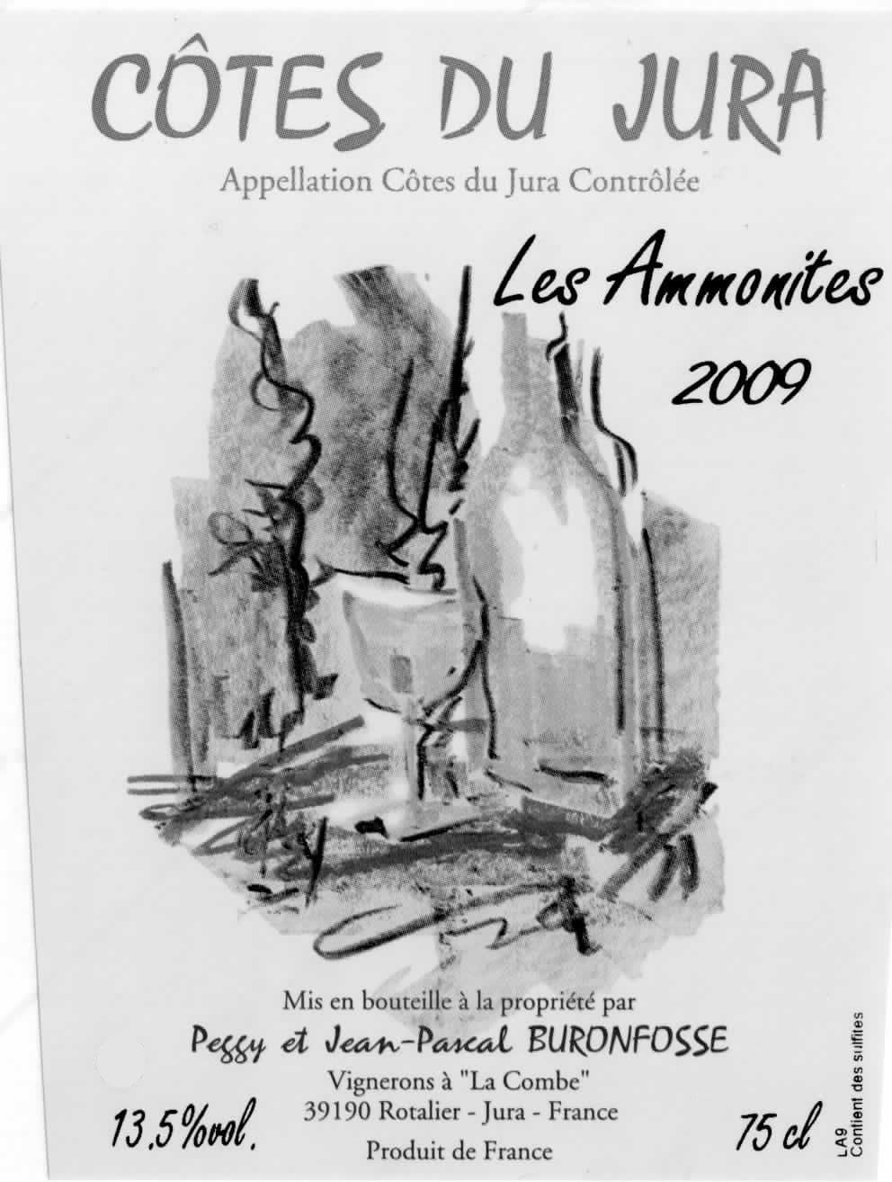 Les Ammonites