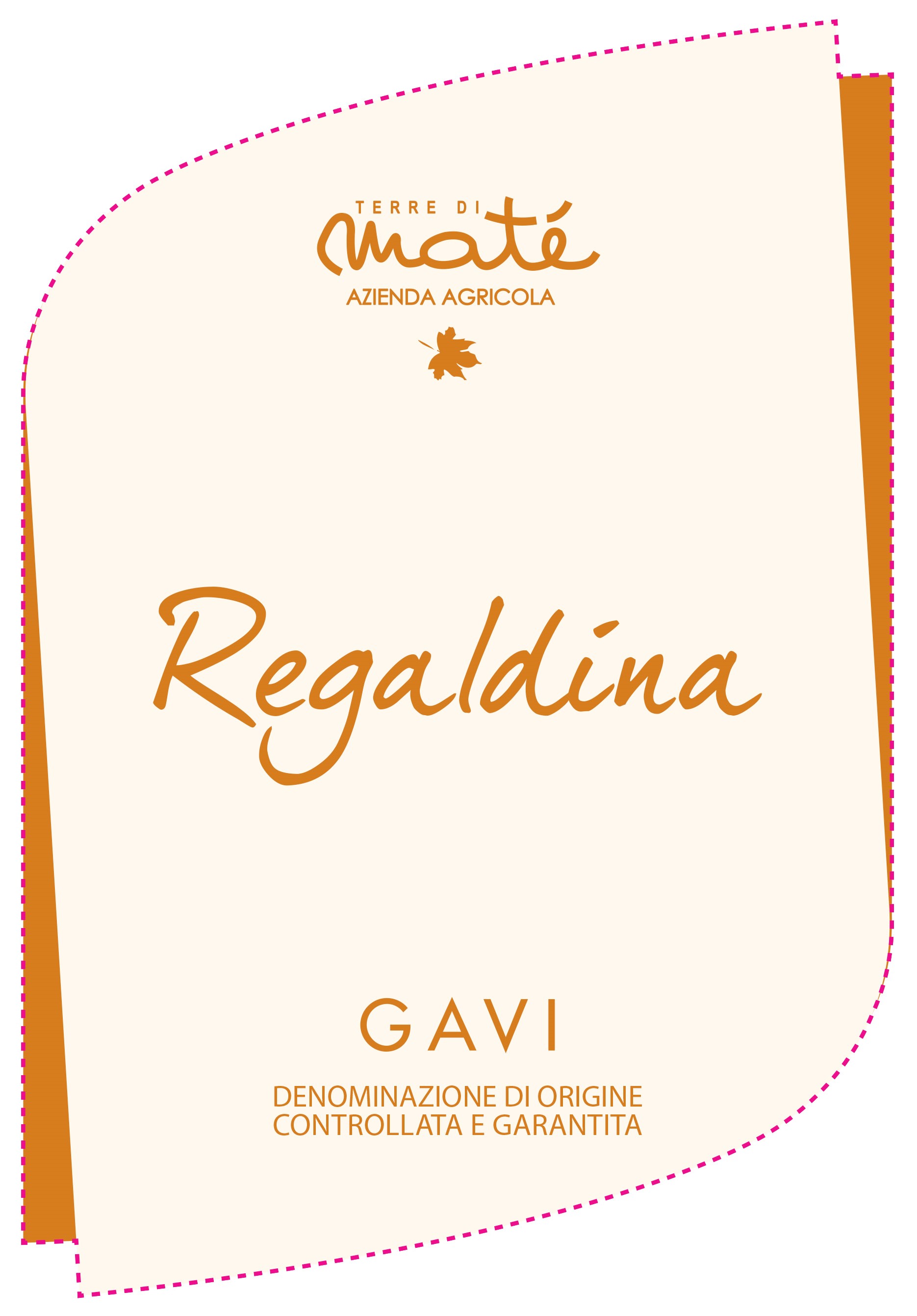 Regaldina Gavi