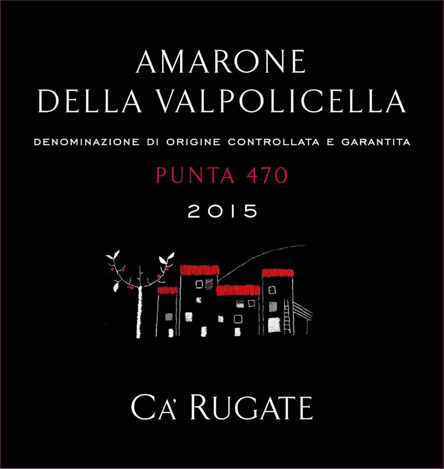 Punta 470