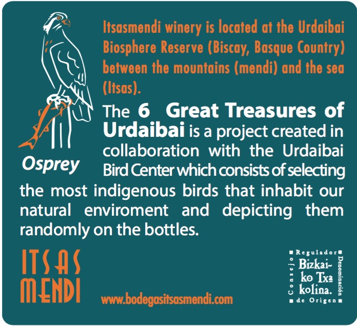 6 Great Treasures of Urdaibai