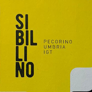 Sibillino