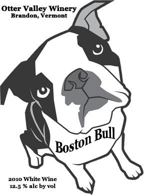 Boston Bull