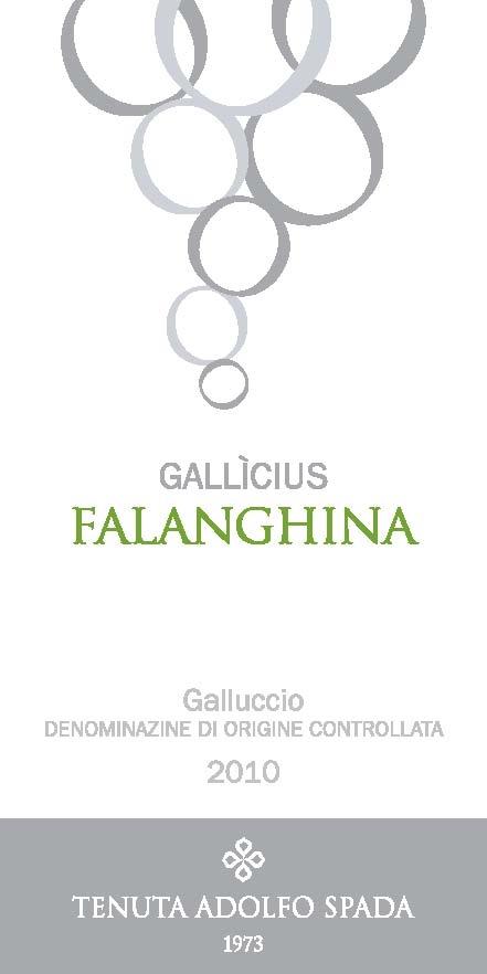 Gallicius