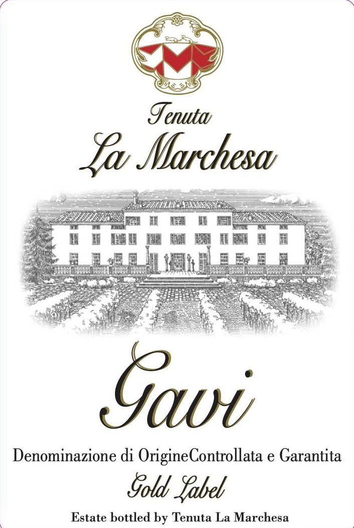 Gavi