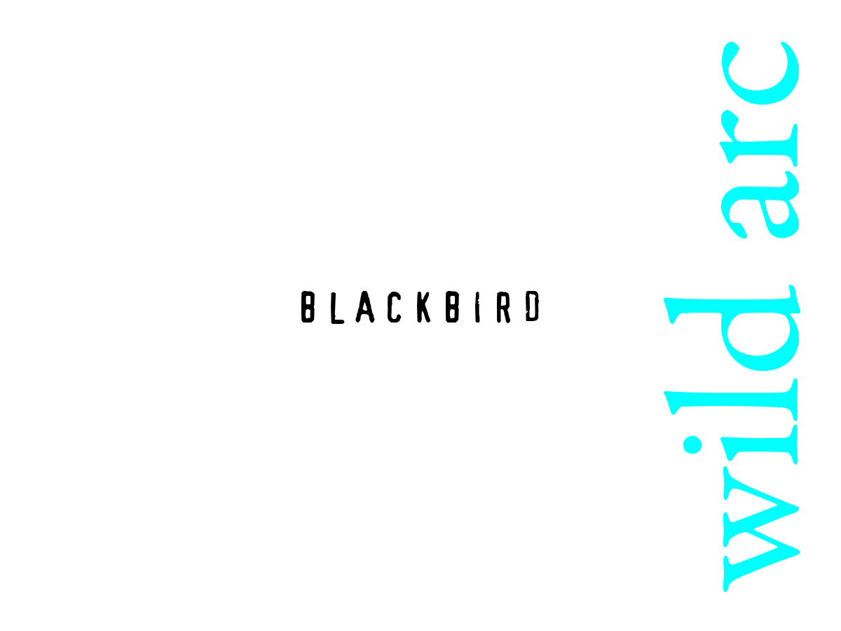 Blackbird