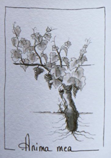 Anima Mea