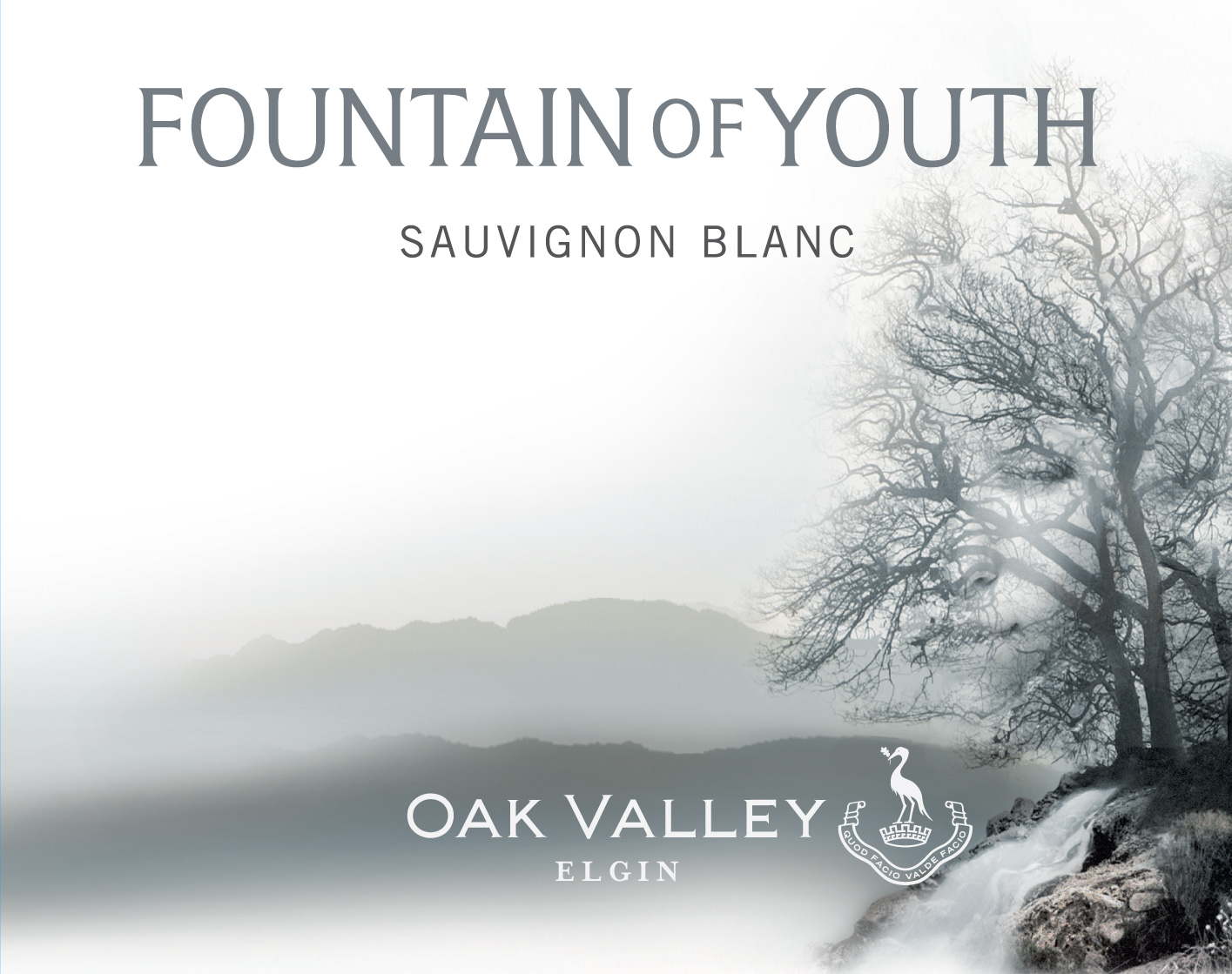 Fountain Of Youth