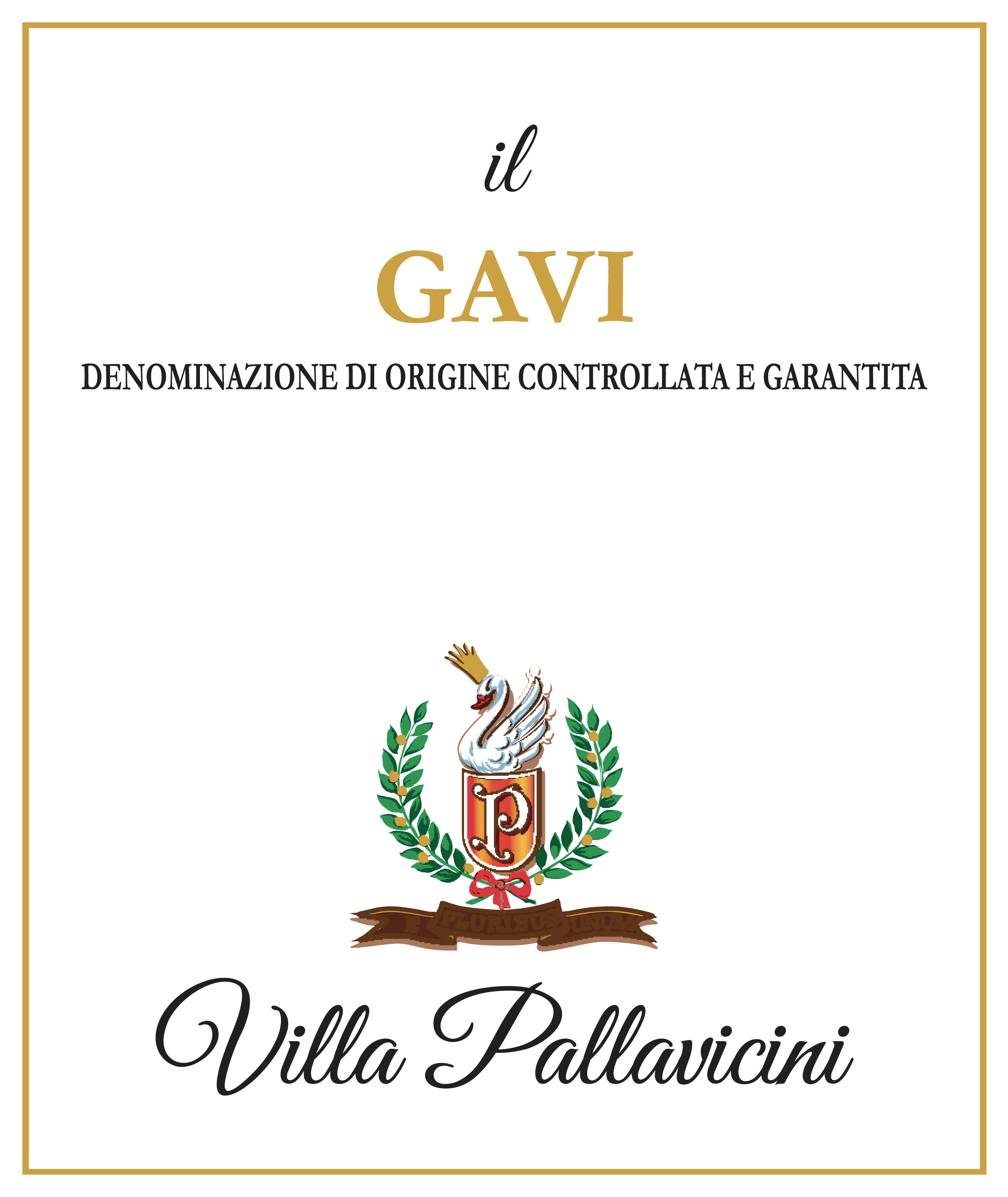 il Gavi