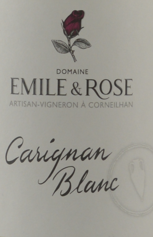 Carignan Blanc Amphora