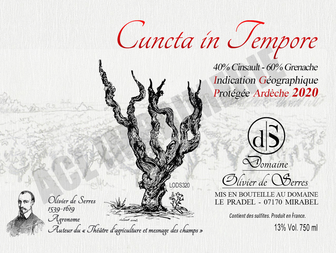 Cuncta In Tempore
