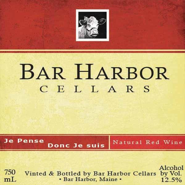 Je Pense Donc Je Suis