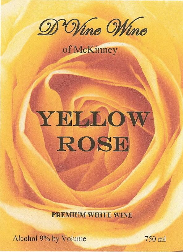 Yellow Rose