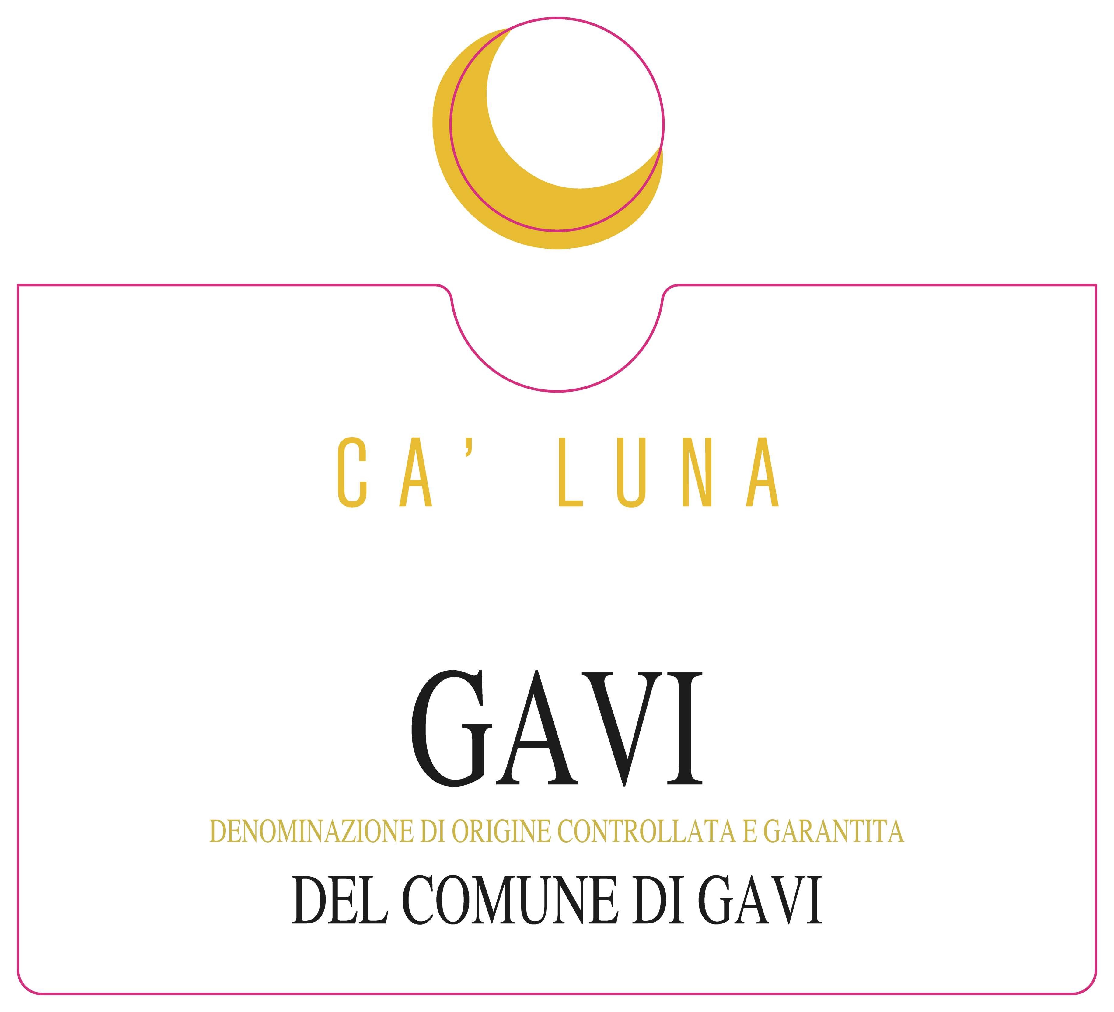 Gavi