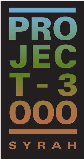 Project-3000