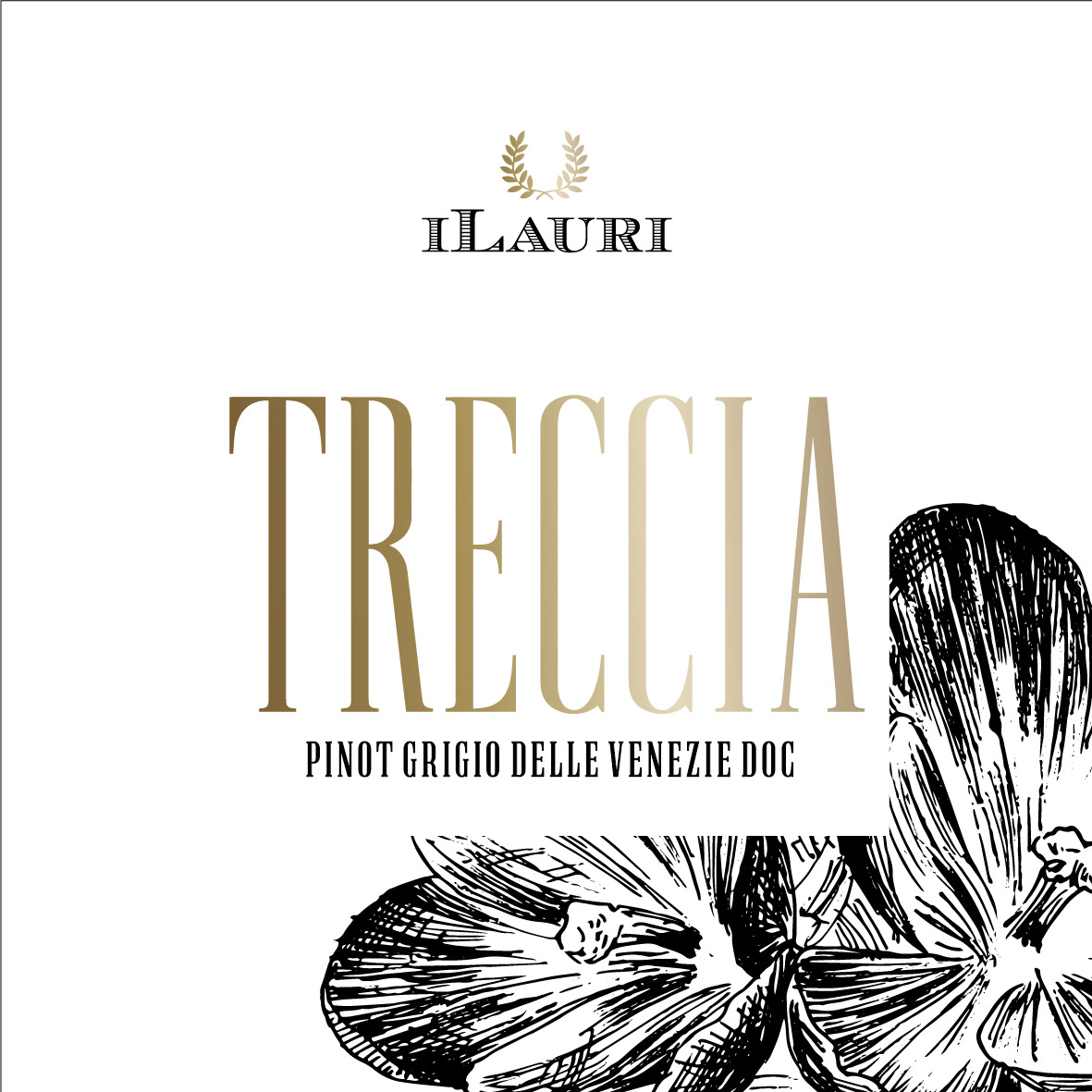 Treccia