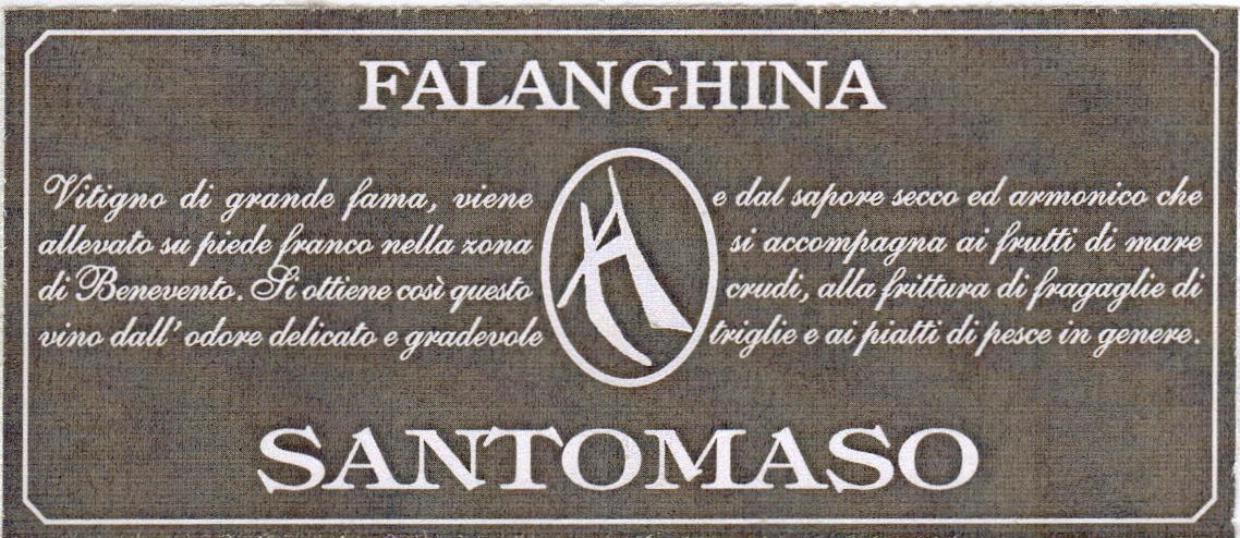 Falanghina Terraminea