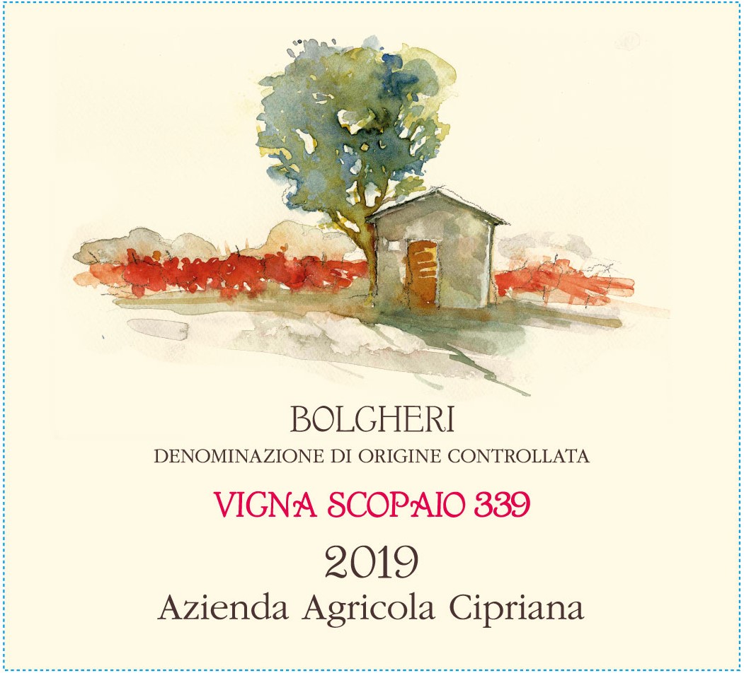 Vigna Scopaio 339