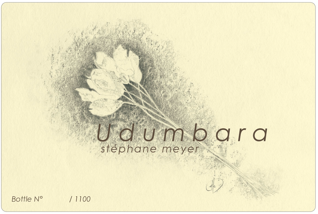 Udumbara