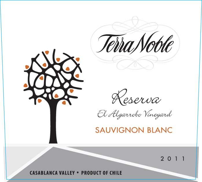 El Algarrobo Vineyard