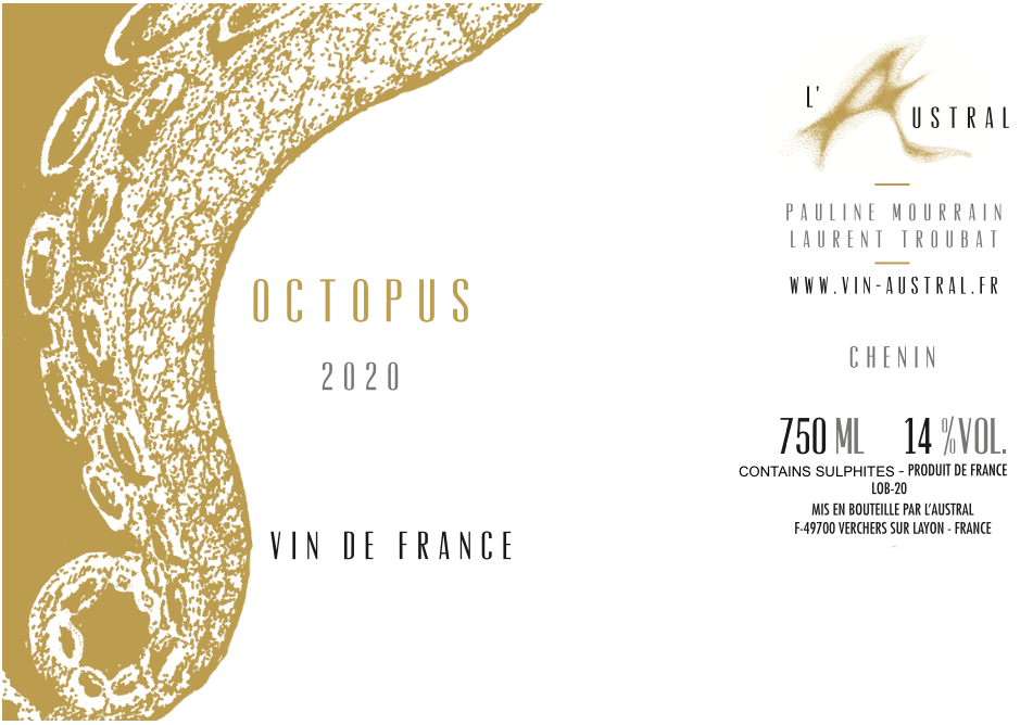 Octopus