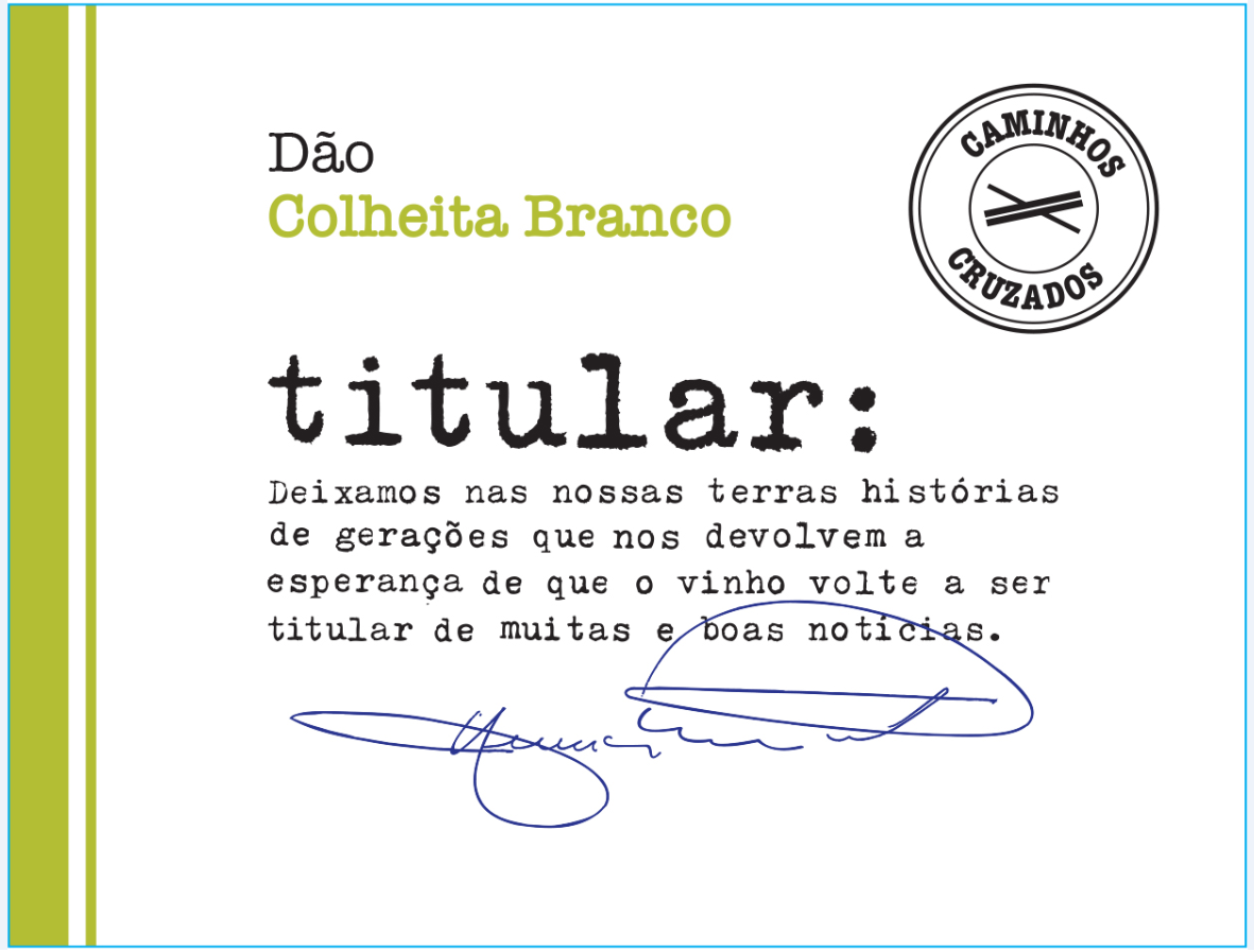 Dão Colheita Branco