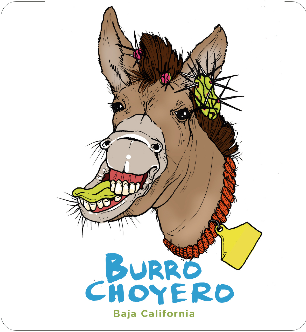 Burro Choyero